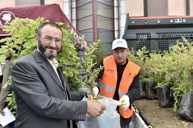 Vatandaşa 10 Bin Fidan Dağıtıldı 1