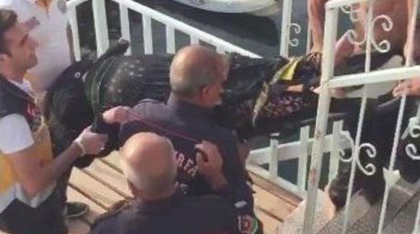 Suriyeli Kadın K&ouml;pr&uuml;den Fırat Nehri&rsquo;ne Atladı