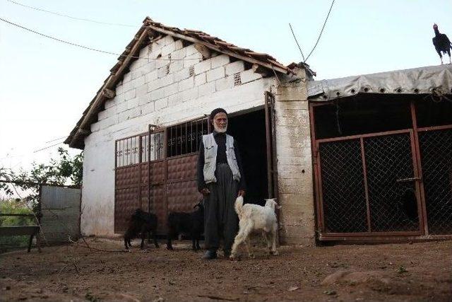 (özel Haber) 51 Yıllık Eşini Kaybeden Mustafa Dede Mecnuna Döndü