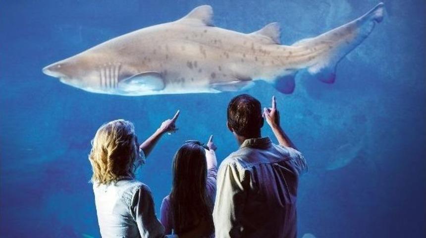 D&uuml;nyanın İklim Temalı İlk Akvaryumu Tuzla Vıaport Marina&rsquo;da A&ccedil;ılıyor