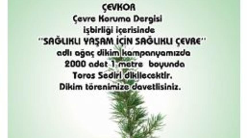 K&ouml;rfez&rsquo;de Fidan Dikim Şenliği