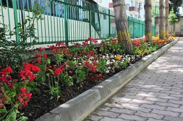Boz&uuml;y&uuml;k&rsquo;te Camiler &Ccedil;i&ccedil;ek A&ccedil;tı 2