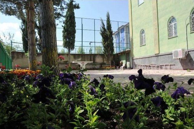 Boz&uuml;y&uuml;k&rsquo;te Camiler &Ccedil;i&ccedil;ek A&ccedil;tı 3
