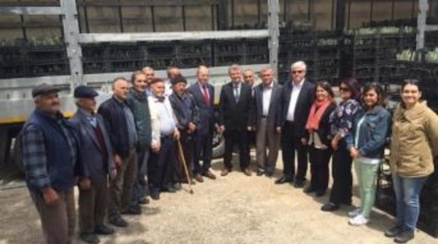 Dağ Y&ouml;resi Lavanta Kokacak