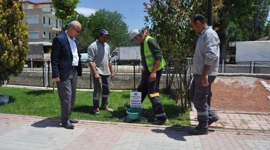 Sokak Hayvanları Susuz Kalmayacak