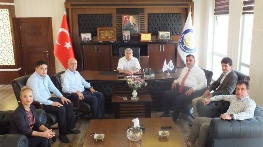 Tarsus&rsquo;ta Devlet &Uuml;niversitesi İ&ccedil;in &Ccedil;alışmalar Başladı