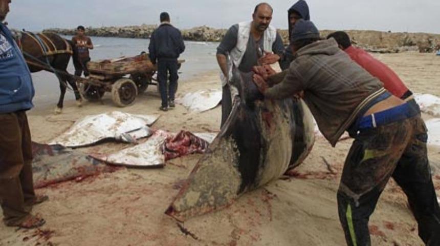 Esrarengiz olay &ccedil;&ouml;z&uuml;lemedi