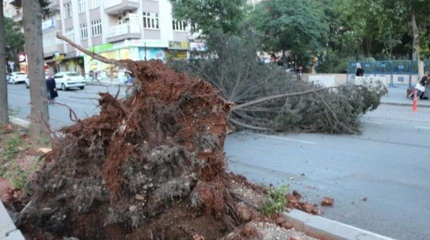 Kırmızı Işık Hayat Kurtardı