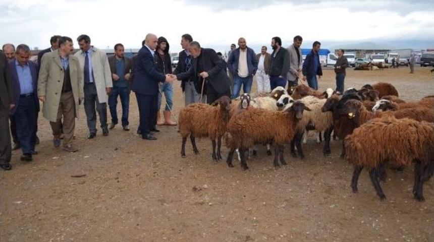 Besiciler Sorunlarını Ilıcalı&rsquo;ya Anlattı