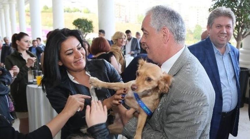 &rsquo;sokak K&ouml;pekleri Bal İle Betty&rsquo;nin Galası Yapıldı