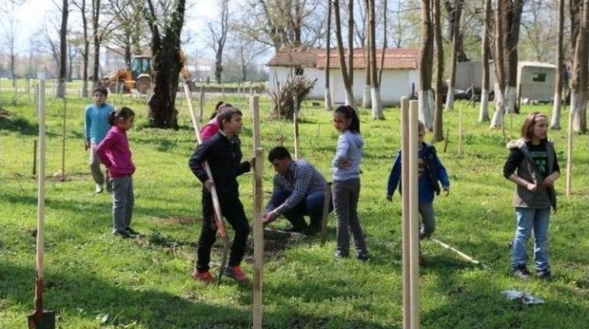 Diktikleri Fidanlara Kendi İsimlerini Verdiler
