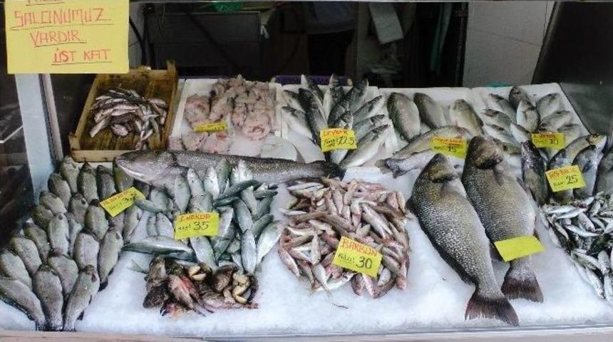 Tezgahlarda Balık &Ccedil;eşitliliği Azaldı