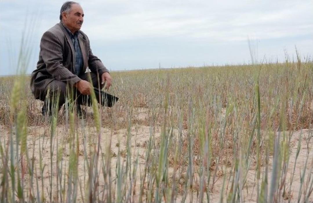 (&ouml;zel Haber) Kuraklık Aksaray&rsquo;ı Vurdu