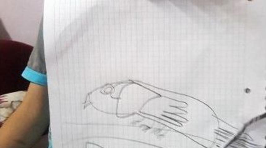 Kaybolan Kuşunu Bulana 5 Tl Okul Harçlığını Verecek