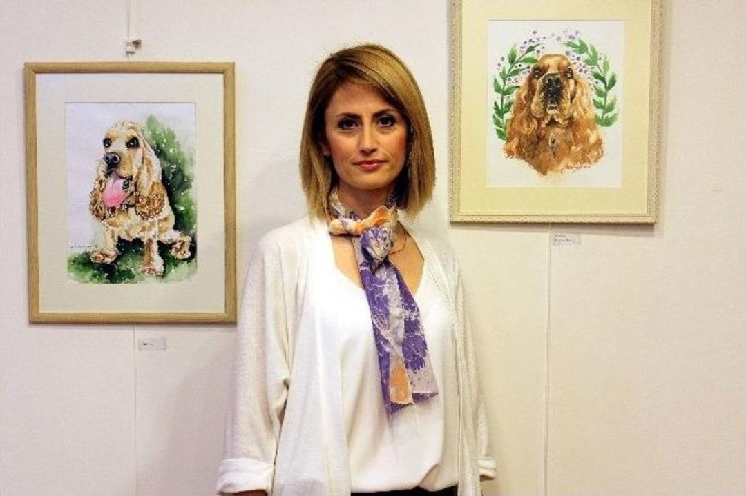 Bu Serginin Geliri Sokak Hayvanlarına