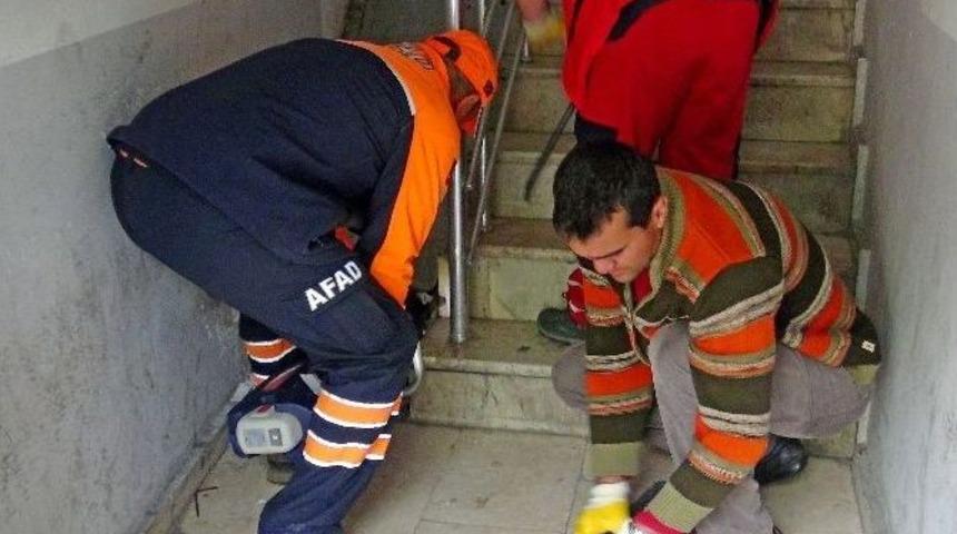 Merdiven Boşluğunda Mahsur Kalan Kediyi Afad Ekipleri Kurtardı