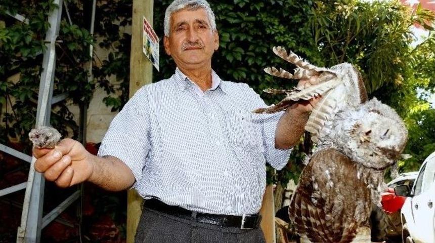 Kuşlar Trafoyu Patlattı, Mahalle Elektriksiz Kaldı