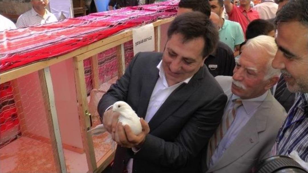 D&uuml;nya Barışı Umuduyla 63 G&uuml;vercin G&ouml;ky&uuml;z&uuml;ne Bırakıldı