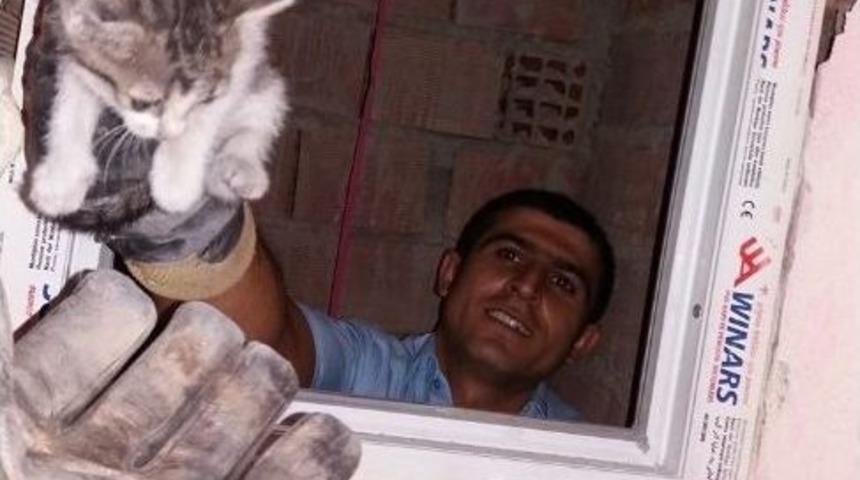 Havalandırma Boşluğuna D&uuml;şen Yavru Kedi Kurtarıldı