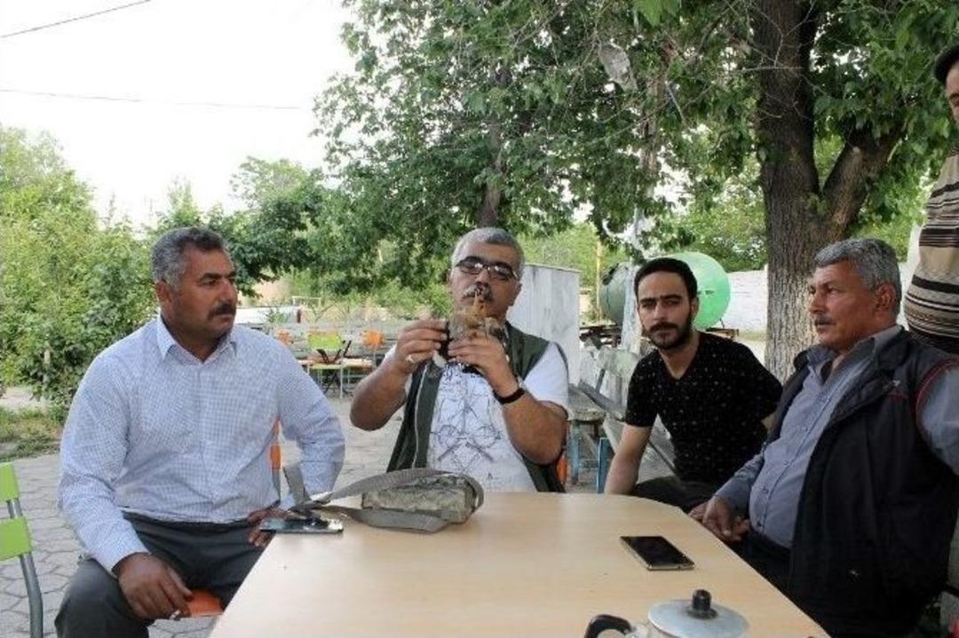 K&ouml;yl&uuml;lerin Bulduğu İbibik Kuşu Tedavi Altına Alındı