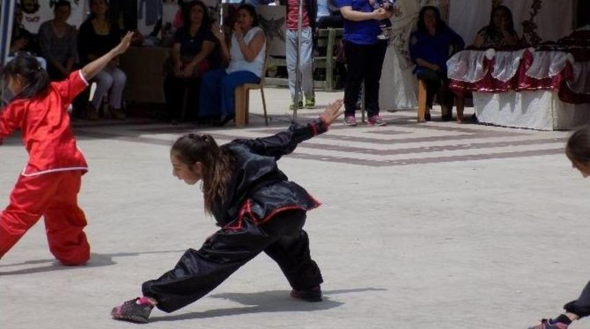 Karacasu&rsquo;da Wushu G&ouml;syerisi