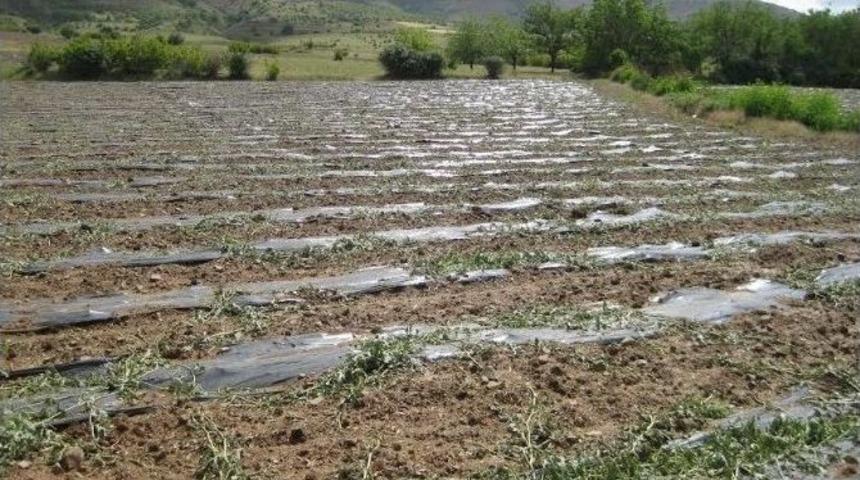 Elazığ&rsquo;da Dolu, Zarara Yol A&ccedil;tı