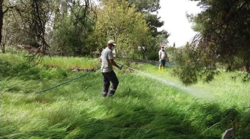 Akhisar Mezarlıkları Bakıma Alındı