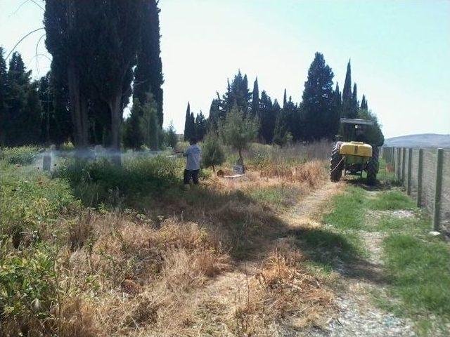 Akhisar Mezarlıkları Bakıma Alındı 1