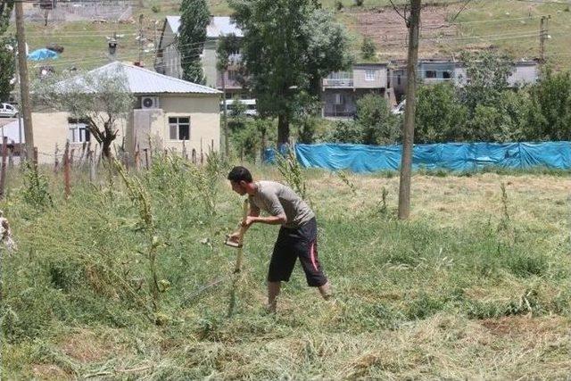 Beytüşşebaplı Vatandaşları Yaz Gelmeden Kış Telaşı Sardı