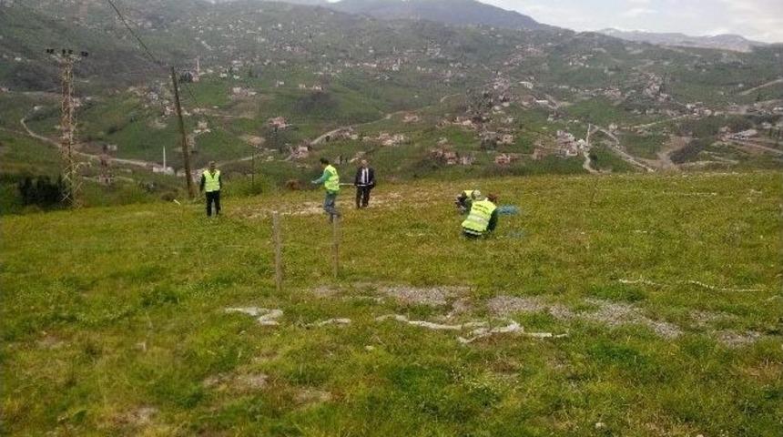 Trabzon B&uuml;y&uuml;kşehir Belediyesi 5 Ayrı Arazide Defin Hizmeti Veriyor