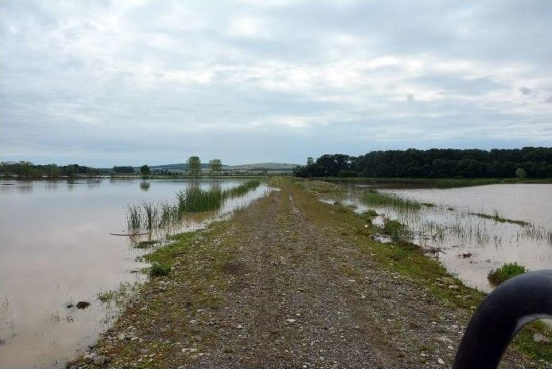 Bafra&rsquo;da Ekili Araziler Su Altında Kaldı