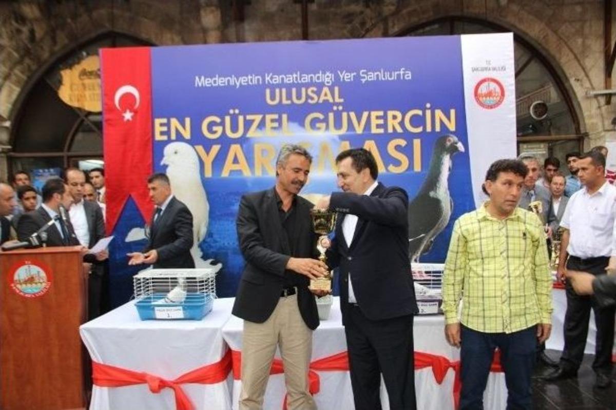 En G&uuml;zel G&uuml;vercinler Se&ccedil;ildi