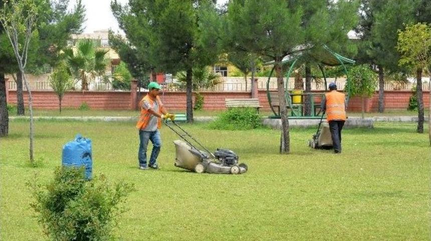 Ceylanpınar&rsquo;daki Parklar Bakıma Alındı