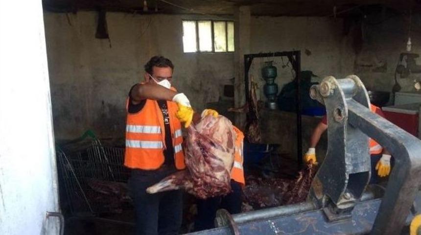 &Ouml;nce Domuz Eti Sattı, Sonra Alan Kasapların İsimlerini A&ccedil;ıklamakla Tehdit Etti