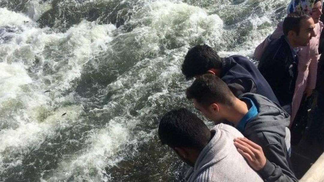 U&ccedil;an Balıkların Muhteşem G&ouml;&ccedil;&uuml; Devam Ediyor