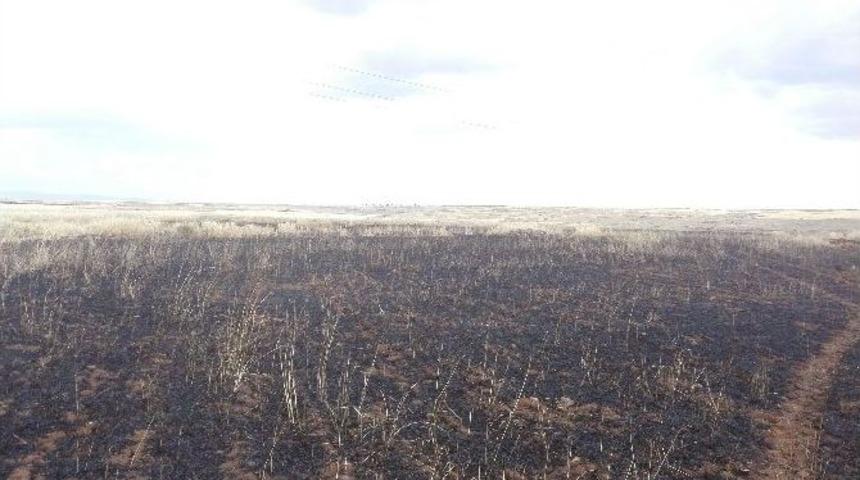 Arpa Tarlasında Yangın