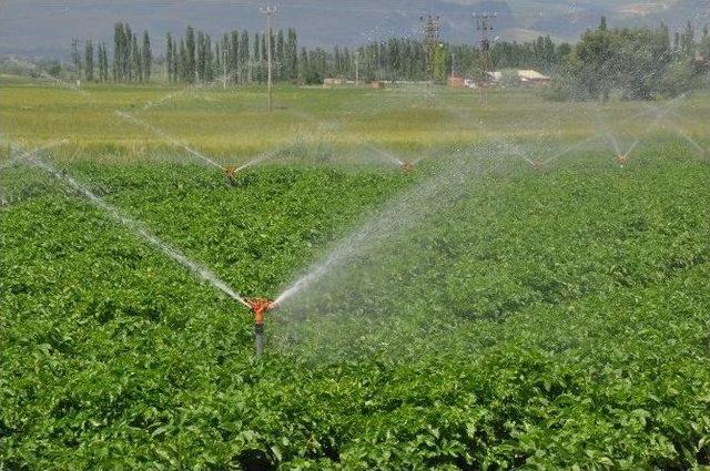 Sandıklı&rsquo;da &Ccedil;ift&ccedil;i Patates Fiyatından Endişeli 2