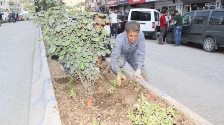 Hakkari&rsquo;de &Ccedil;i&ccedil;ek Dikimi
