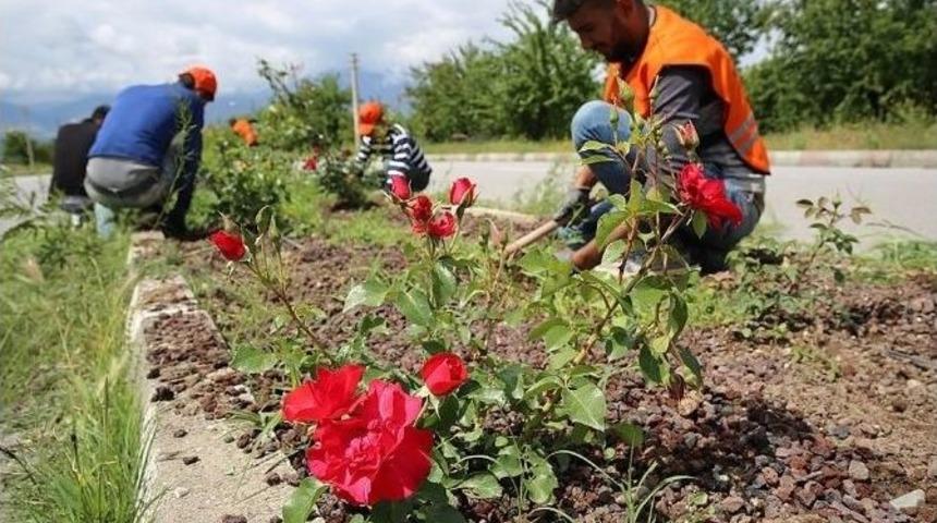 Ref&uuml;jlerde Temizlik Ve D&uuml;zenleme &Ccedil;alışmaları