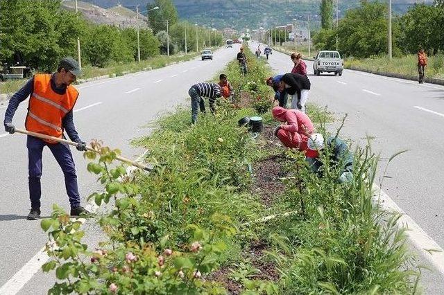 Refüjlerde Temizlik Ve Düzenleme Çalışmaları 1