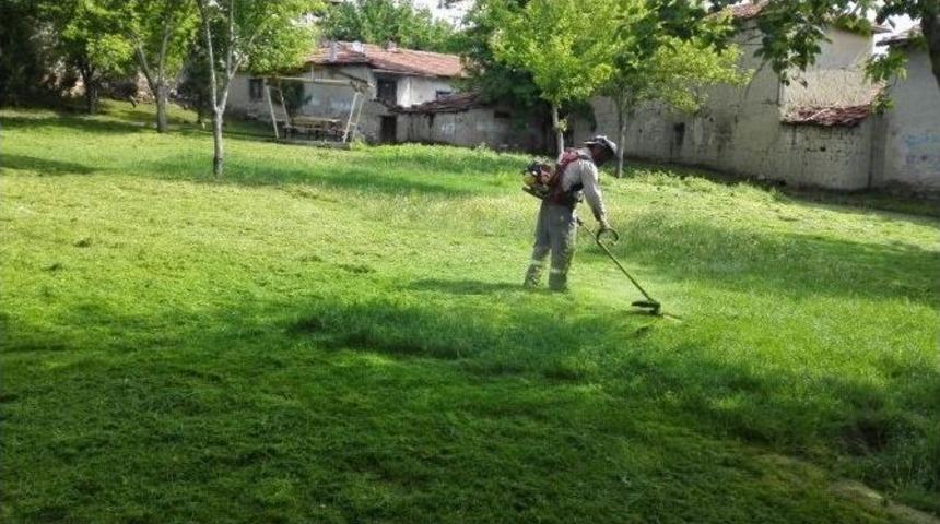 Sungurlu&rsquo;da Peyzaj &Ccedil;alışmaları