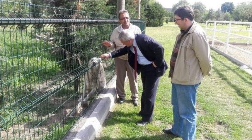 Rekt&ouml;r G&uuml;ndoğan, &Uuml;niversitede Yaralanan K&ouml;peği Ziyaret Etti