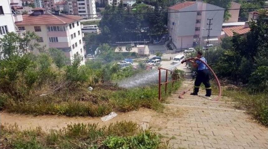 Otluk Alanda &Ccedil;ıkan Yangın Korkuttu