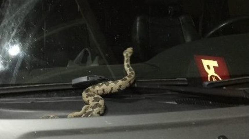 Offroad&rsquo;a Gitti, Aracına Yılan Girdi