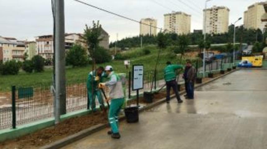 Park Bah&ccedil;eler Boş Durmuyor