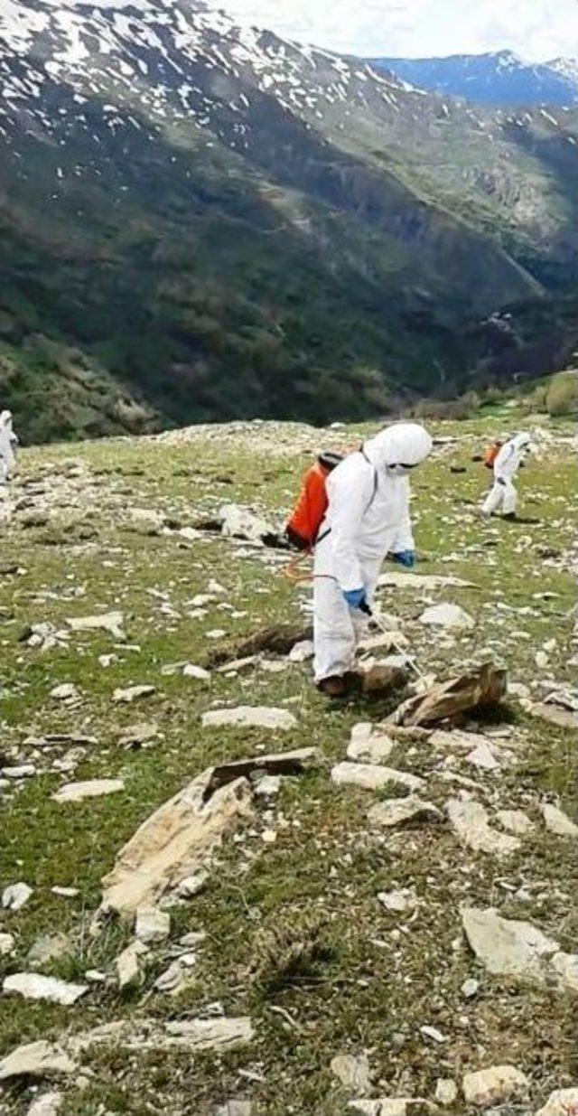 Bahçesaray’da Çekirgelerle Mücadele Çalışması