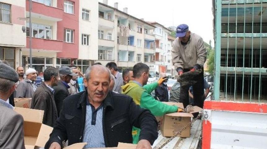 Akdağmadeni Ziraat Odası Hindi Ve Tavuk Dağıttı