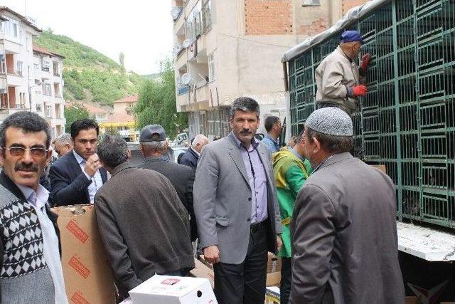 Akdağmadeni Ziraat Odası Hindi Ve Tavuk Dağıttı