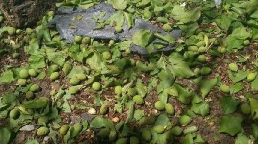 Van&rsquo;daki Dolu Yağışı