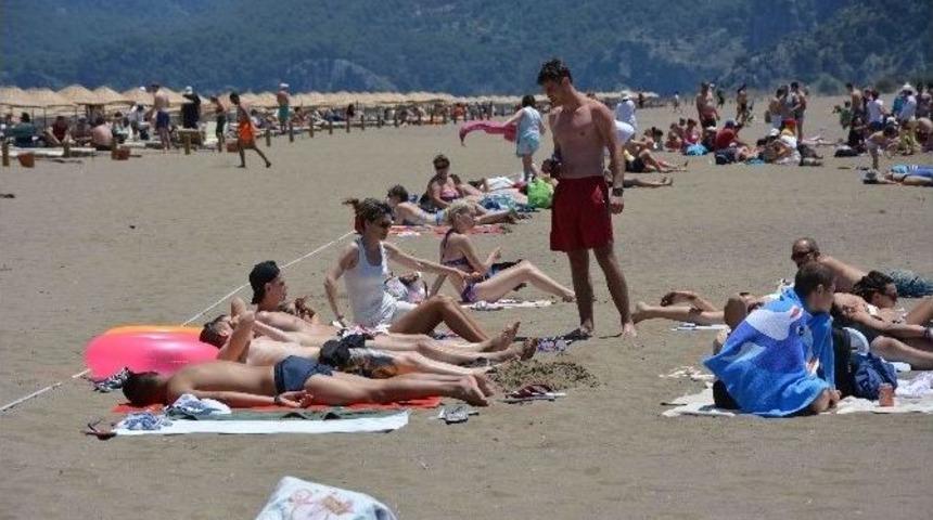 İztuzu Sahili Canlandı